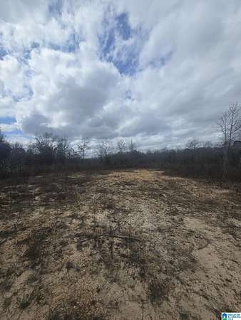15.2 Acres of Recreational & Residential Land for Sale in Maplesville, Alabama