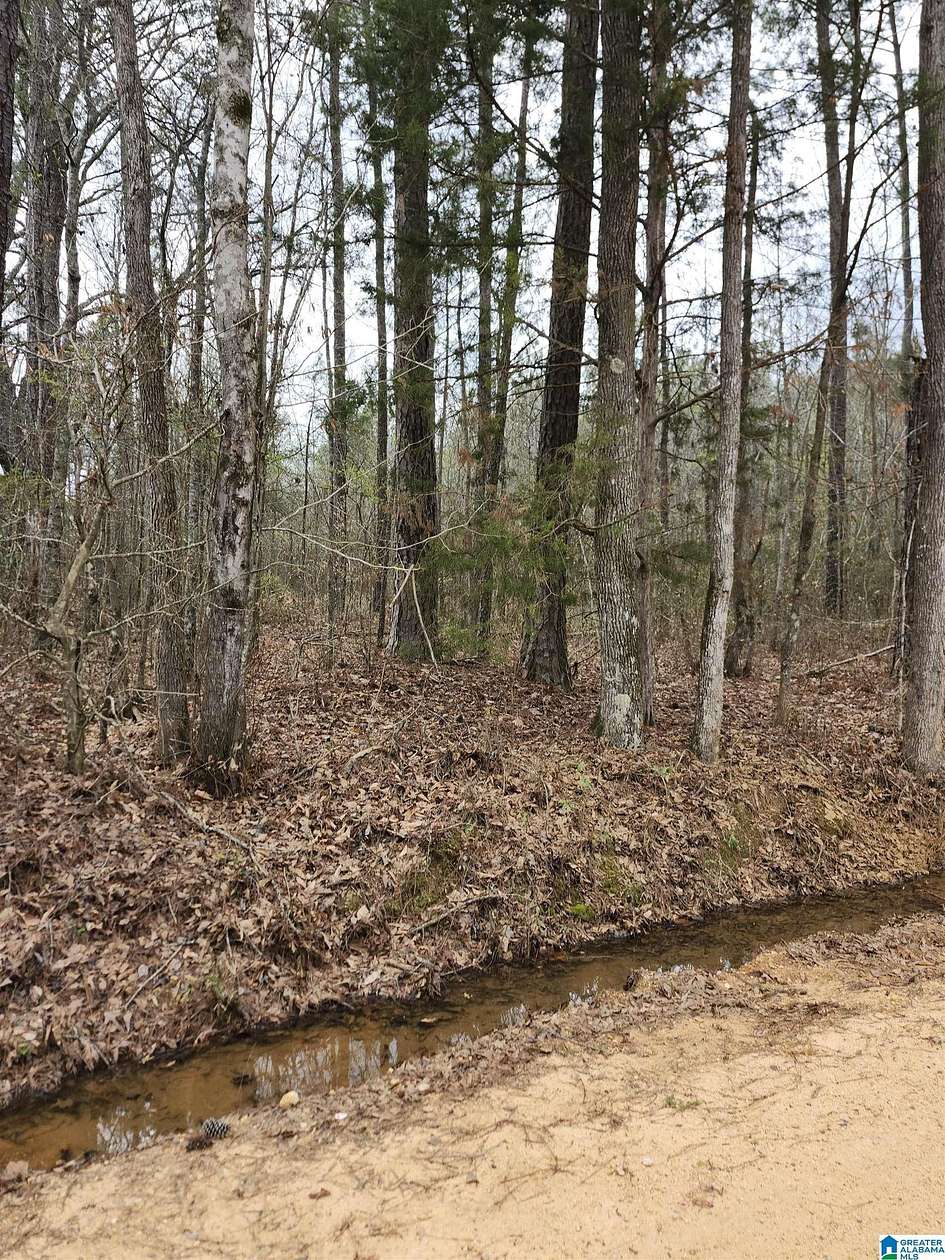 39.6 Acres of Land for Sale in Verbena, Alabama