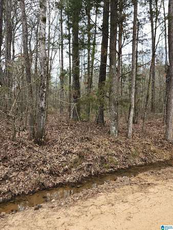 39.6 Acres of Land for Sale in Verbena, Alabama