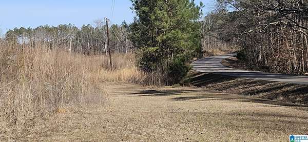 10 Acres of Residential Land for Sale in Randolph, Alabama