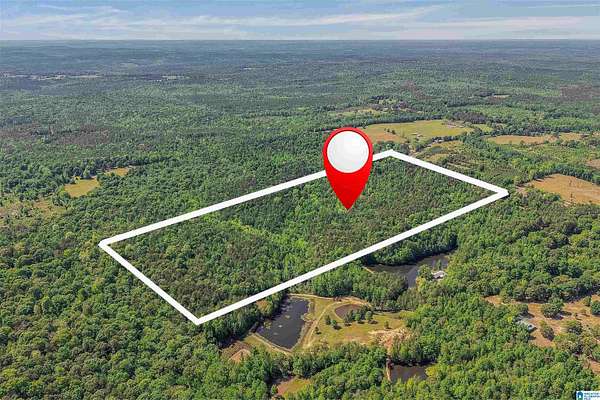 79 Acres of Recreational & Residential Land for Sale in Lawley, Alabama