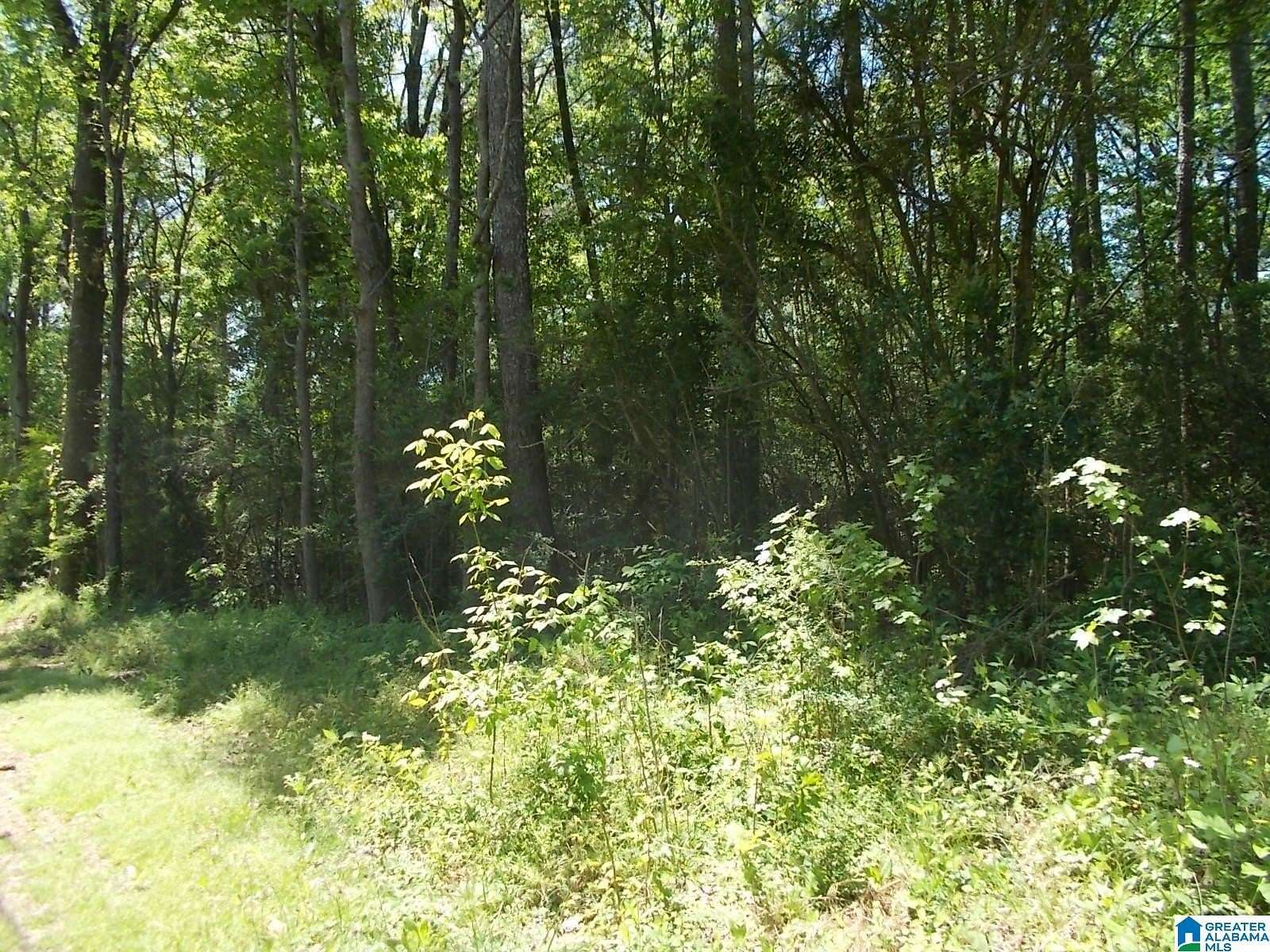 0.65 Acres of Land for Sale in Adamsville, Alabama