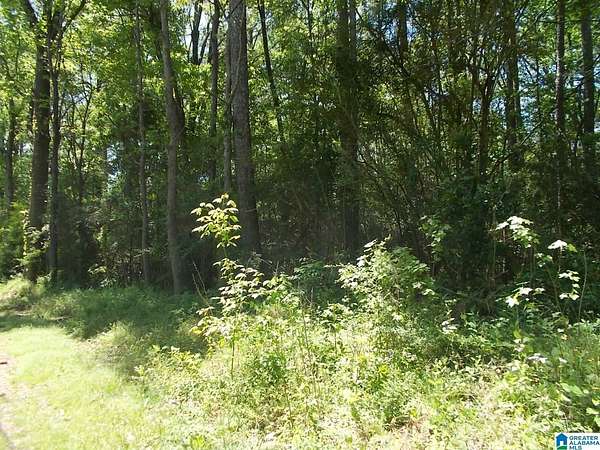 0.65 Acres of Land for Sale in Adamsville, Alabama