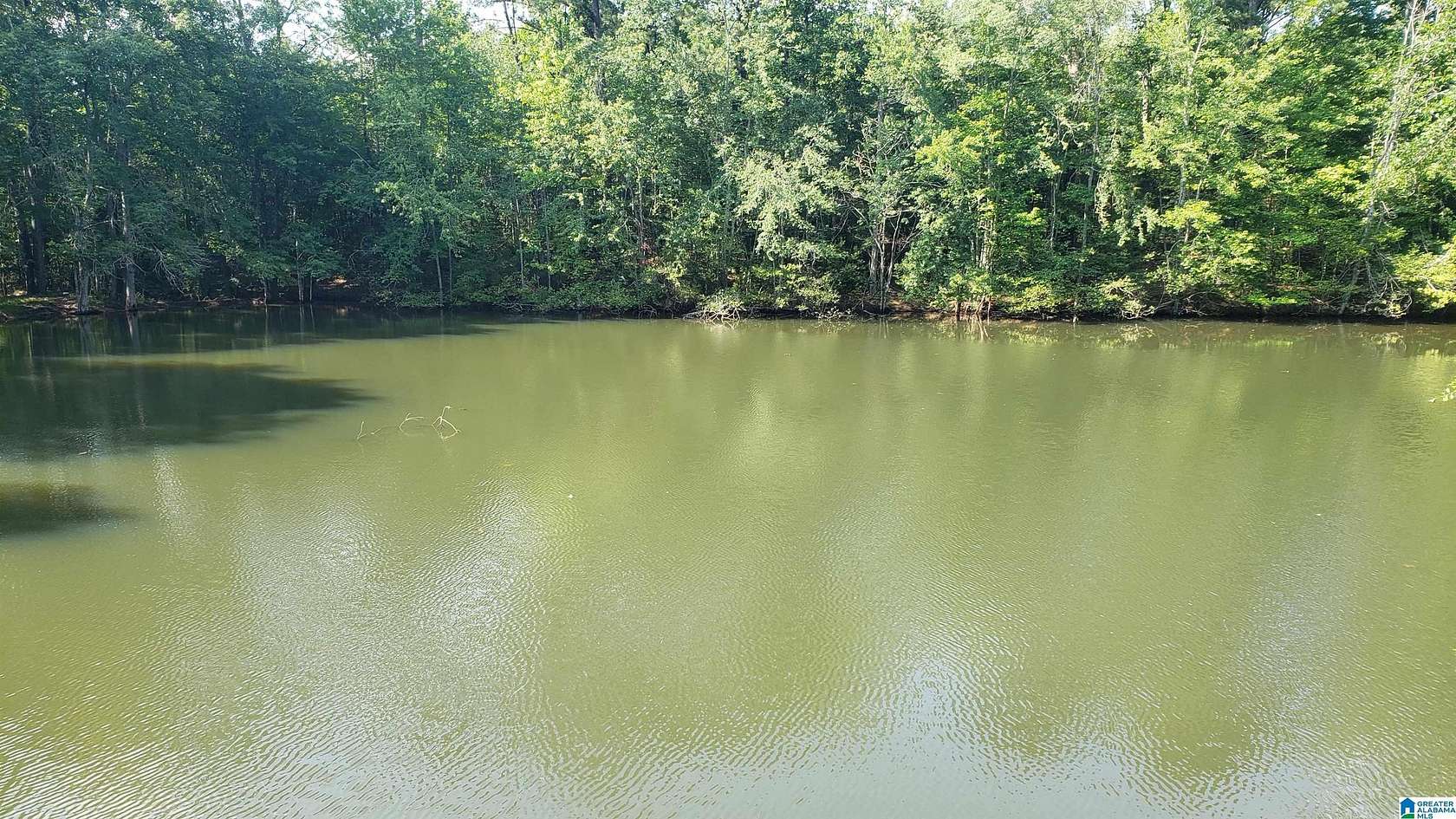 8.86 Acres of Land for Sale in Clanton, Alabama