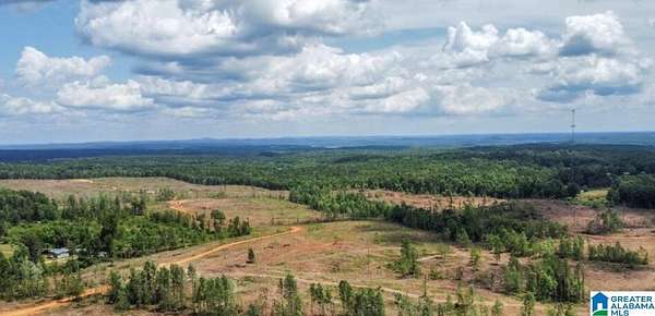 198 Acres of Land for Sale in Verbena, Alabama