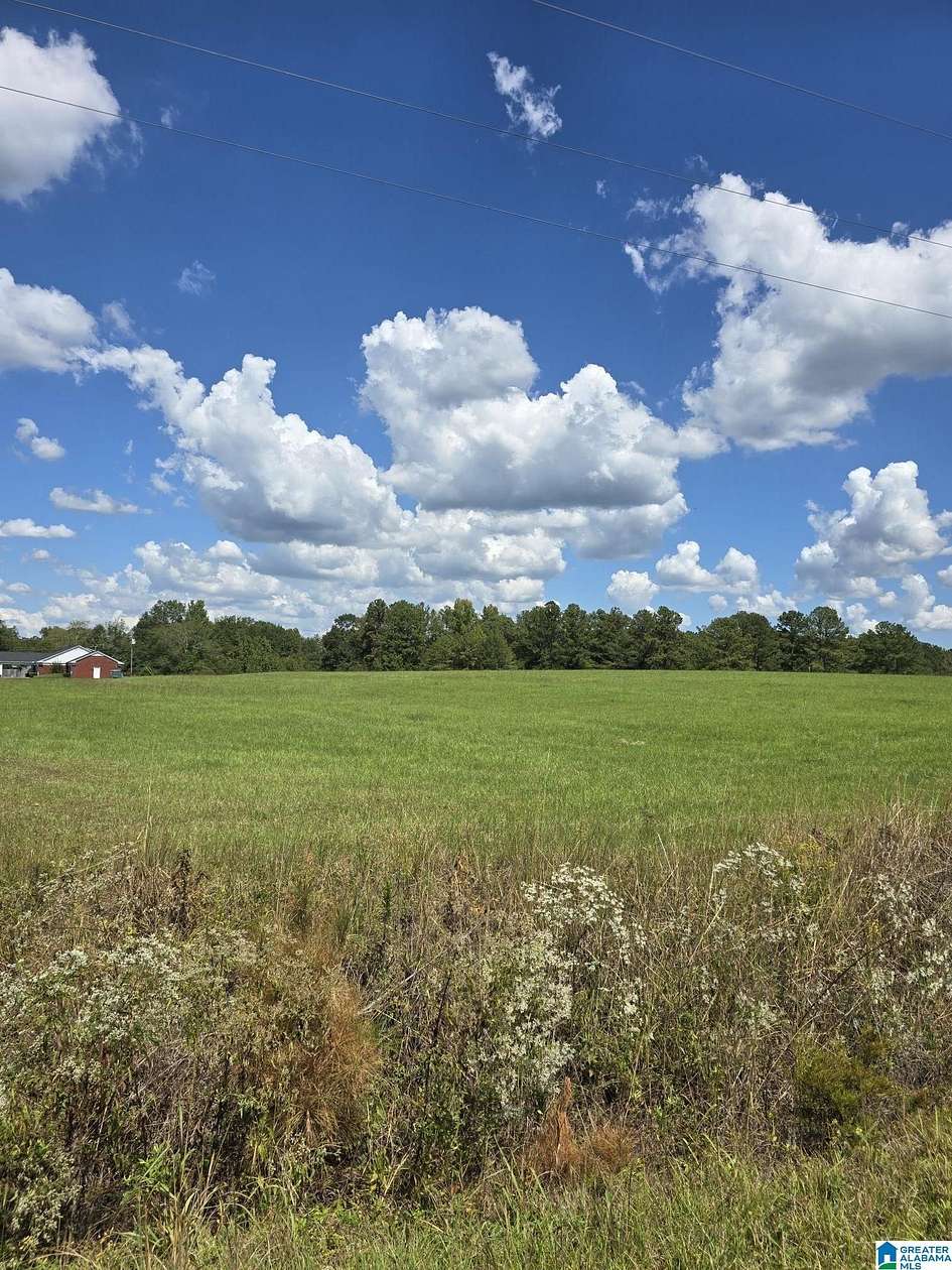 55 Acres of Agricultural Land for Sale in Jemison, Alabama