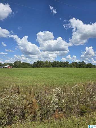 55 Acres of Agricultural Land for Sale in Jemison, Alabama