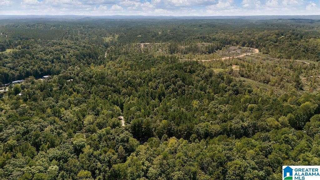 19 Acres of Land for Sale in Clanton, Alabama
