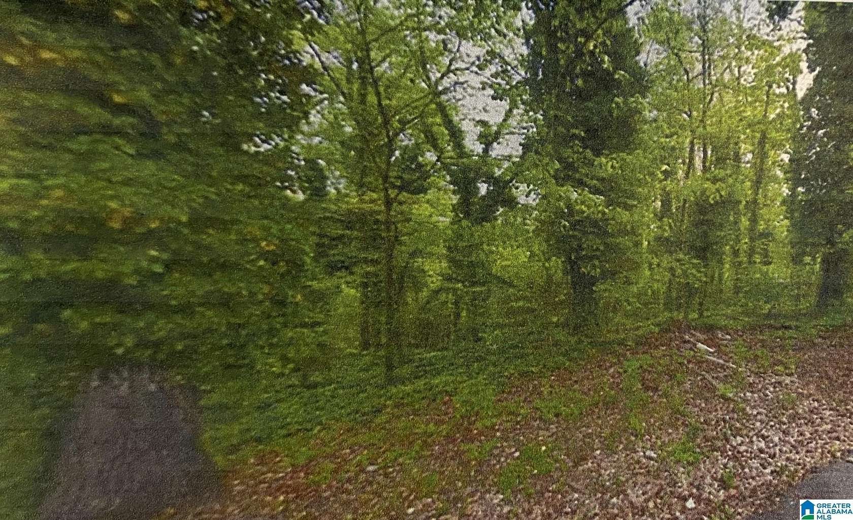 0.5 Acres of Residential Land for Sale in Birmingham, Alabama