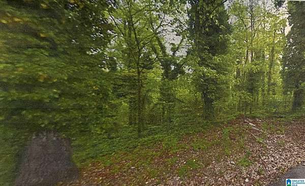 0.5 Acres of Residential Land for Sale in Birmingham, Alabama