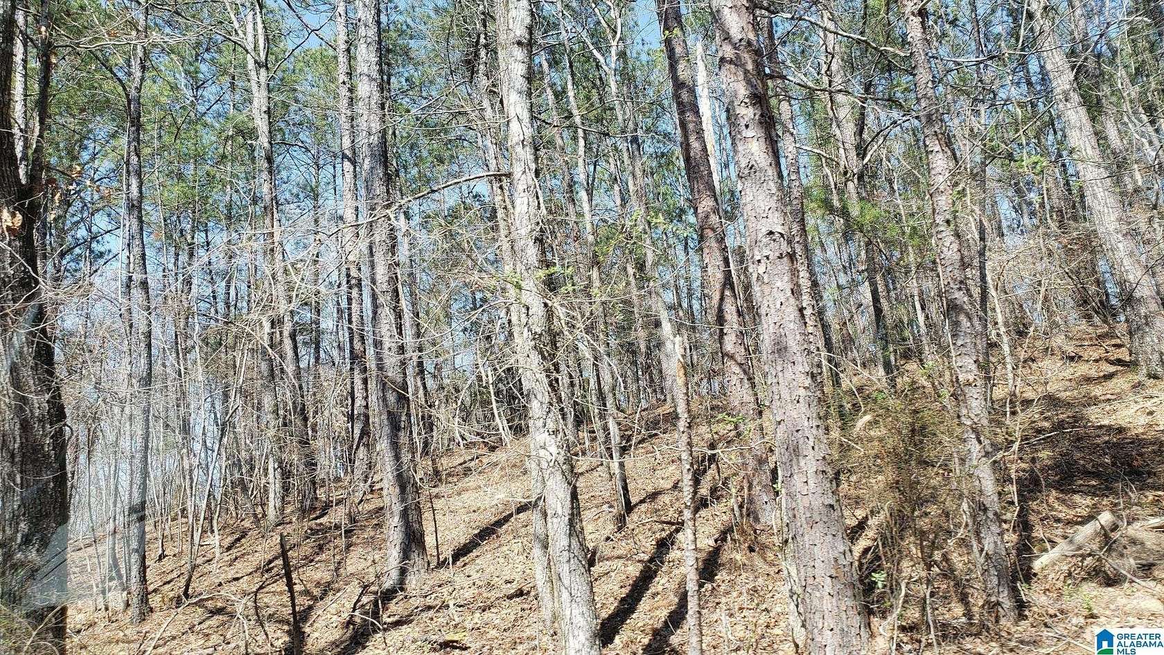 0.8 Acres of Land for Sale in Verbena, Alabama