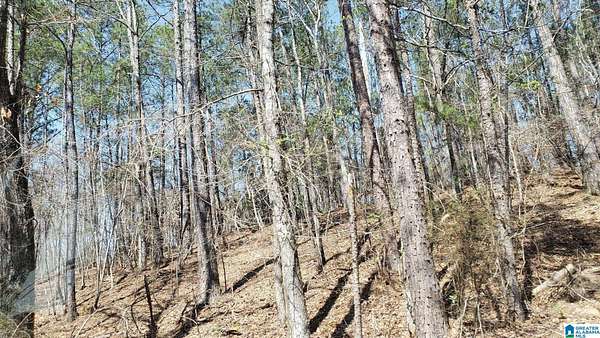 0.8 Acres of Land for Sale in Verbena, Alabama