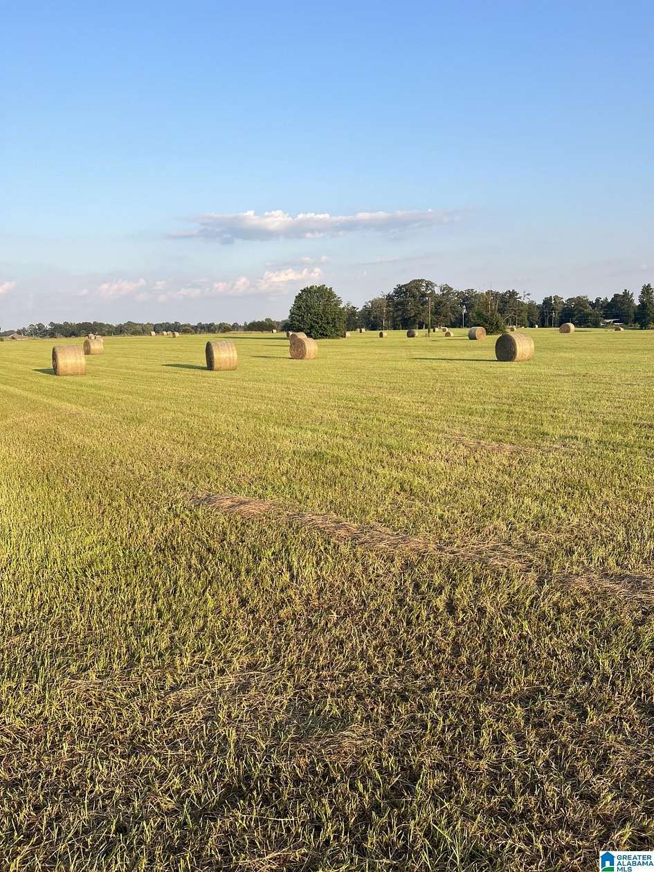 52 Acres of Agricultural & Residential Land for Sale in Clanton, Alabama