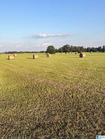 52 Acres of Agricultural & Residential Land for Sale in Clanton, Alabama