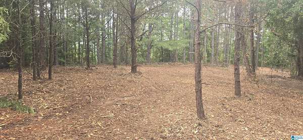 12 Acres of Recreational & Residential Land for Sale in Lawley, Alabama