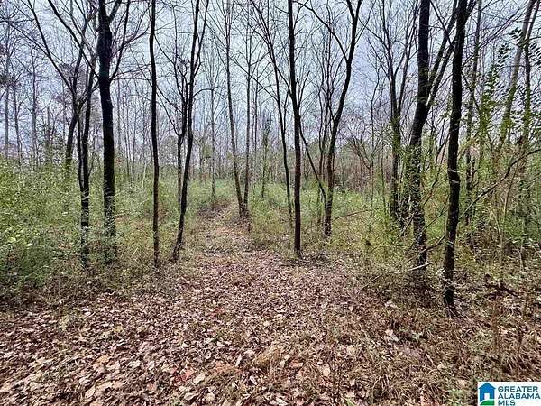 10 Acres of Land for Sale in Pinson, Alabama