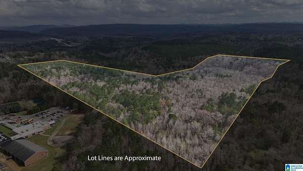 10 Acres of Recreational & Residential Land for Sale in Pinson, Alabama