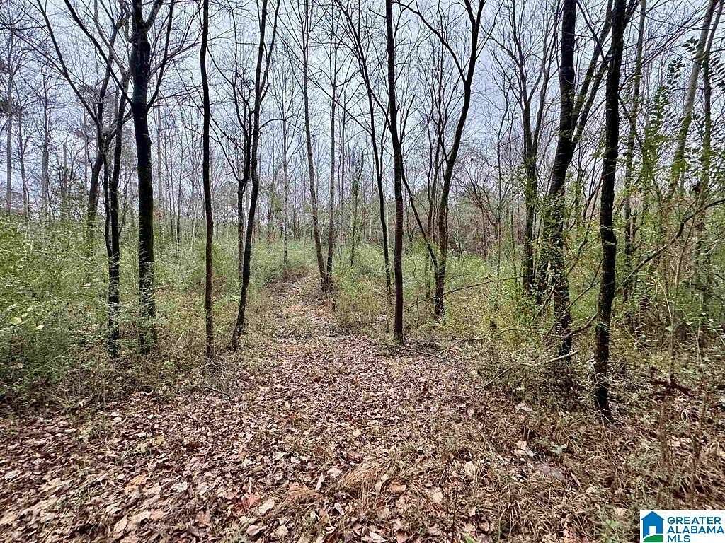 10 Acres of Land for Sale in Pinson, Alabama