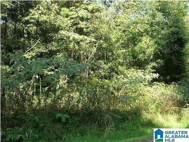 0.47 Acres of Residential Land for Sale in Birmingham, Alabama