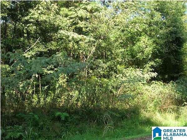 0.47 Acres of Residential Land for Sale in Birmingham, Alabama