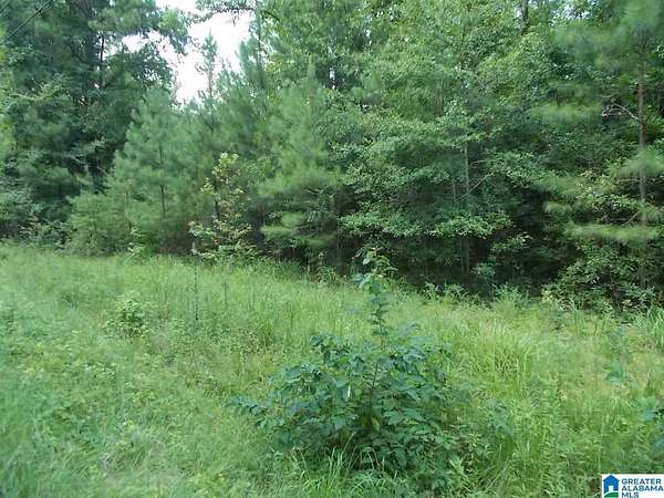 2.8 Acres of Land for Sale in Warrior, Alabama
