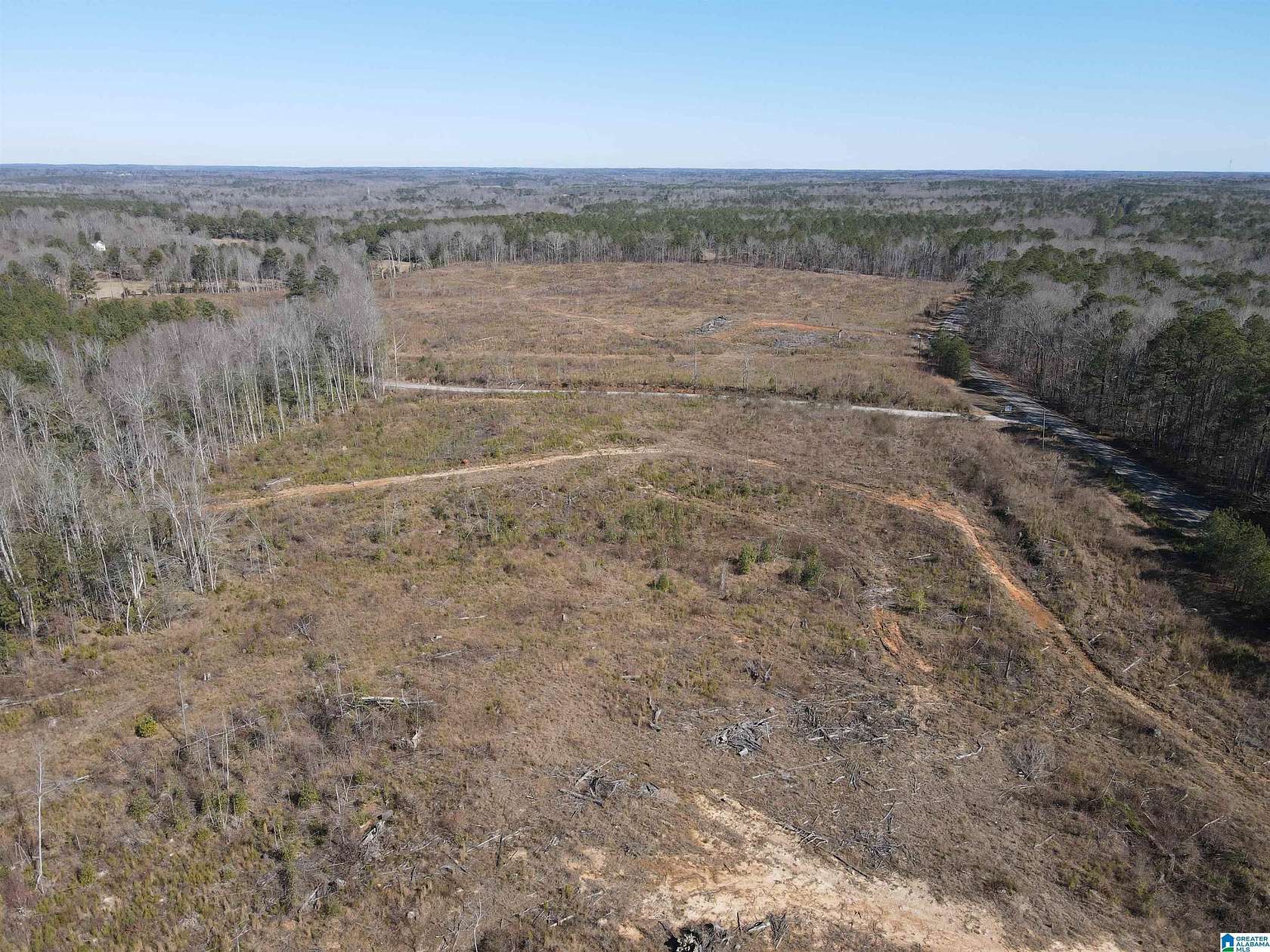 20 Acres of Land for Sale in Randolph, Alabama