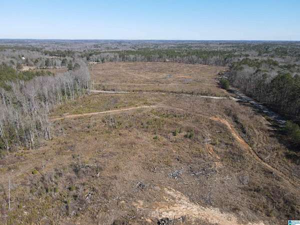 20 Acres of Land for Sale in Randolph, Alabama