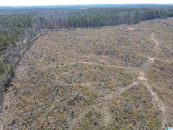 20 Acres of Land for Sale in Randolph, Alabama