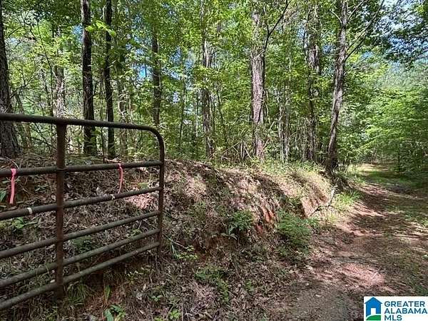 69.9 Acres of Land for Sale in Rockford, Alabama