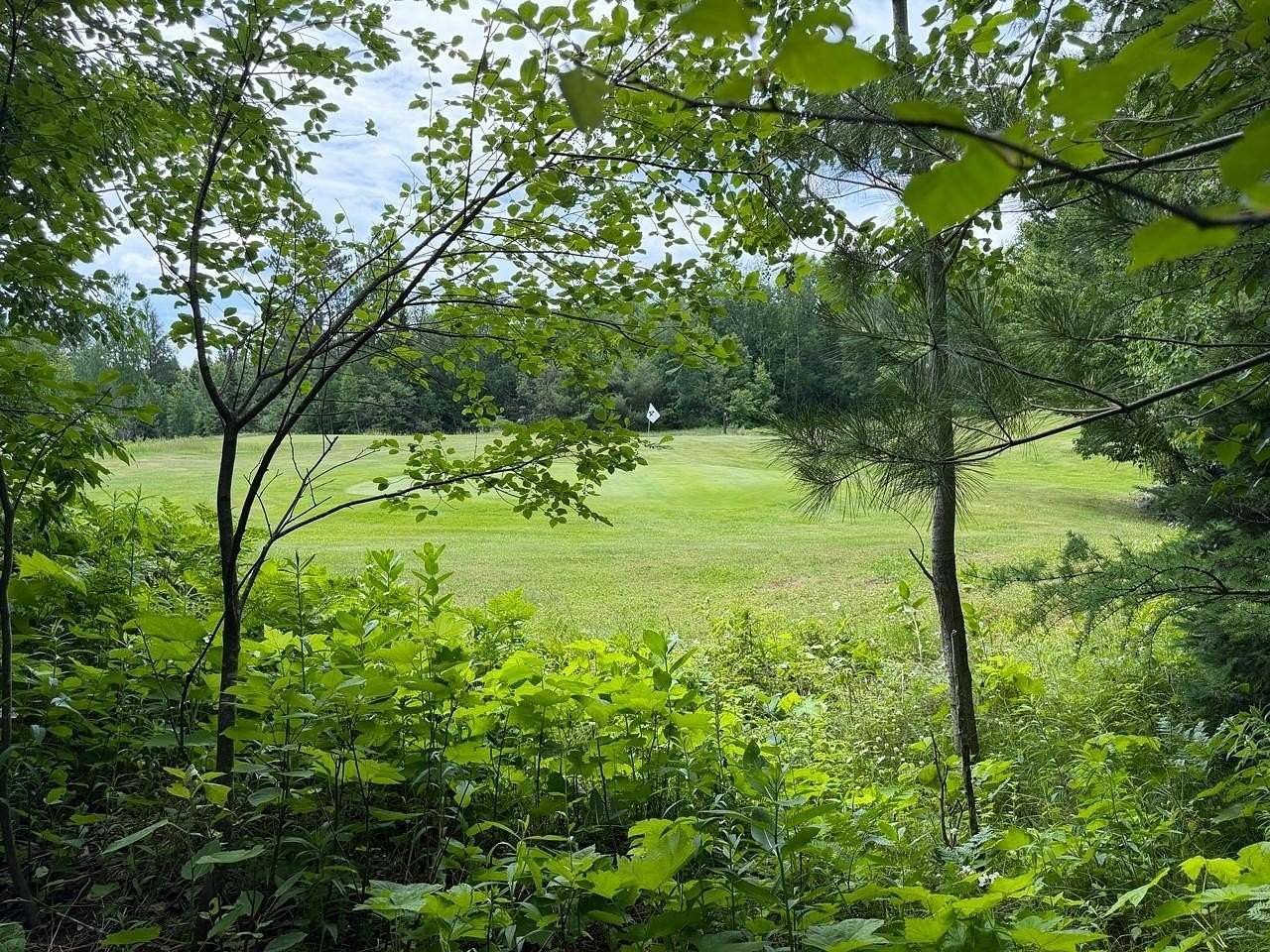 3 Acres of Residential Land for Sale in Mercer, Wisconsin