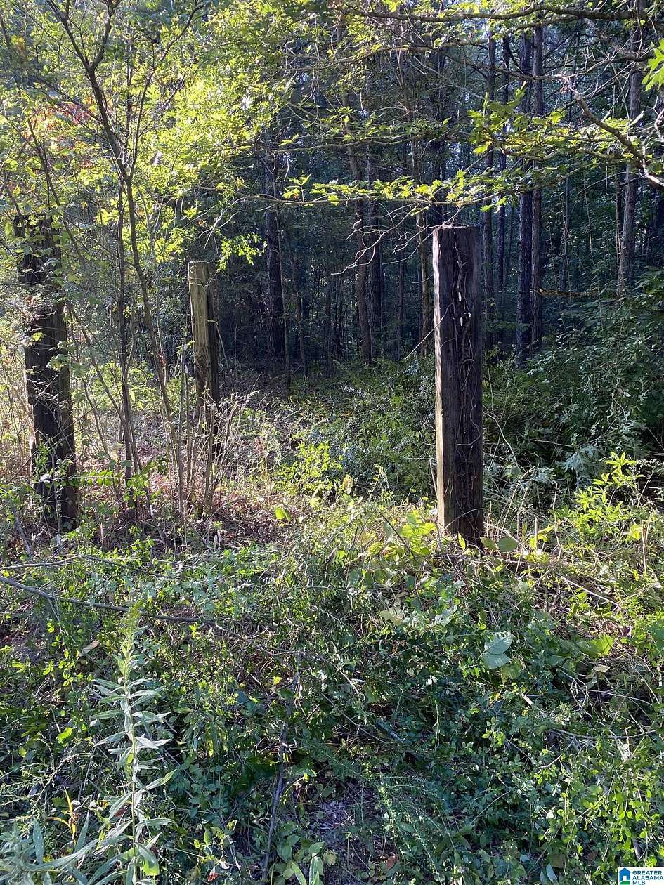 6 Acres of Land for Sale in Cleveland, Alabama