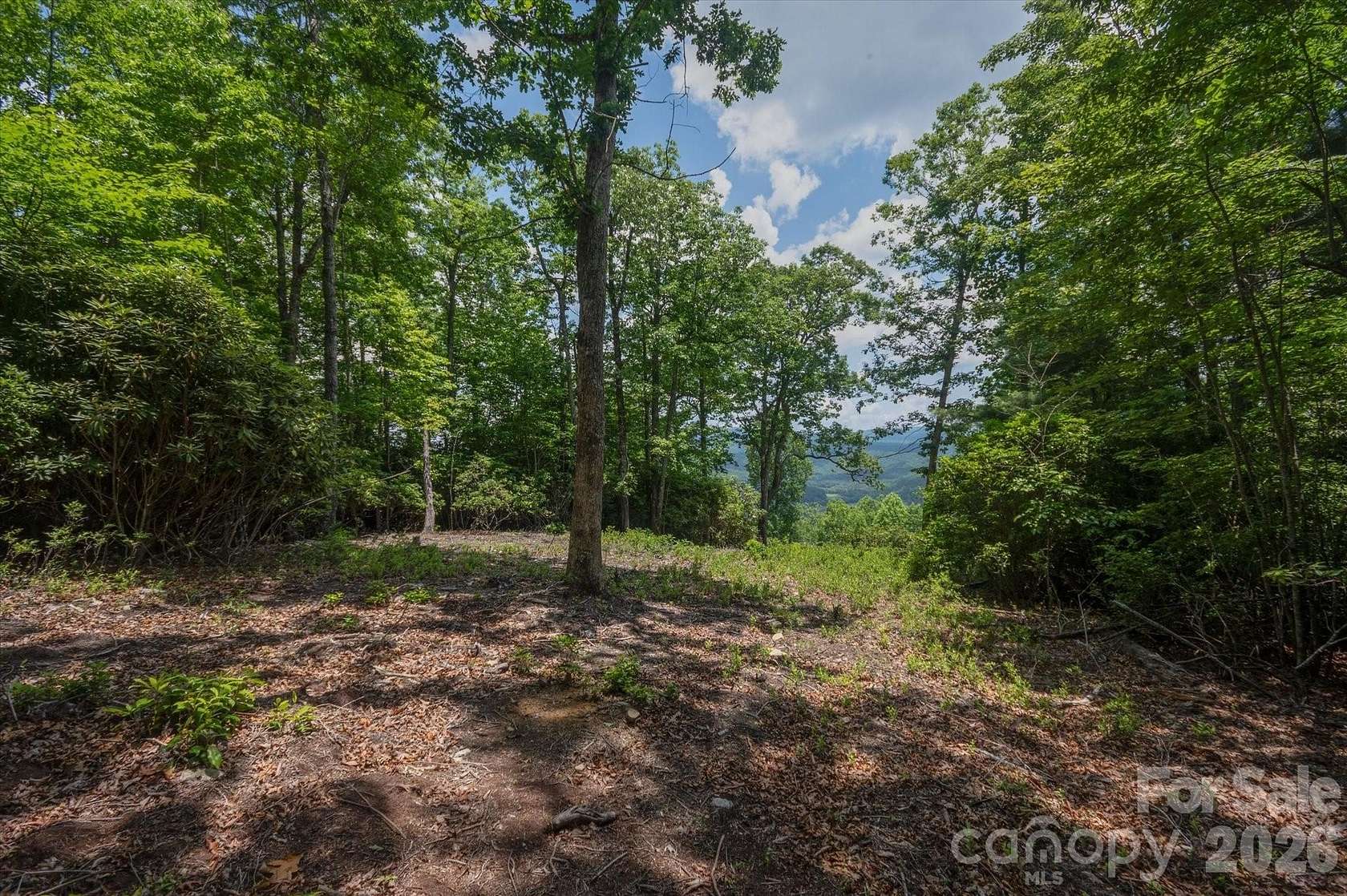 40.6 Acres of Recreational & Residential Land for Sale in Pisgah Forest, North Carolina