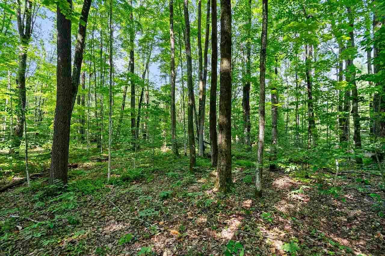 0.56 Acres of Residential Land for Sale in Petoskey, Michigan