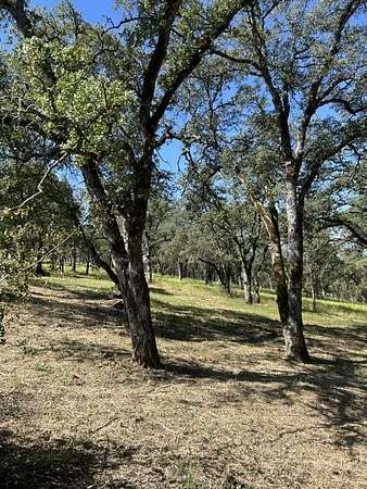 11 Acres of Recreational & Residential Land for Sale in El Dorado Hills, California