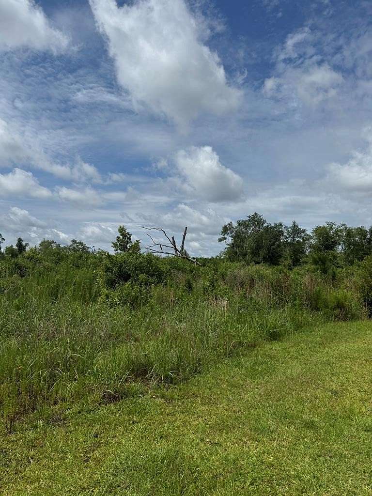 17.4 Acres of Land for Sale in Naylor, Georgia
