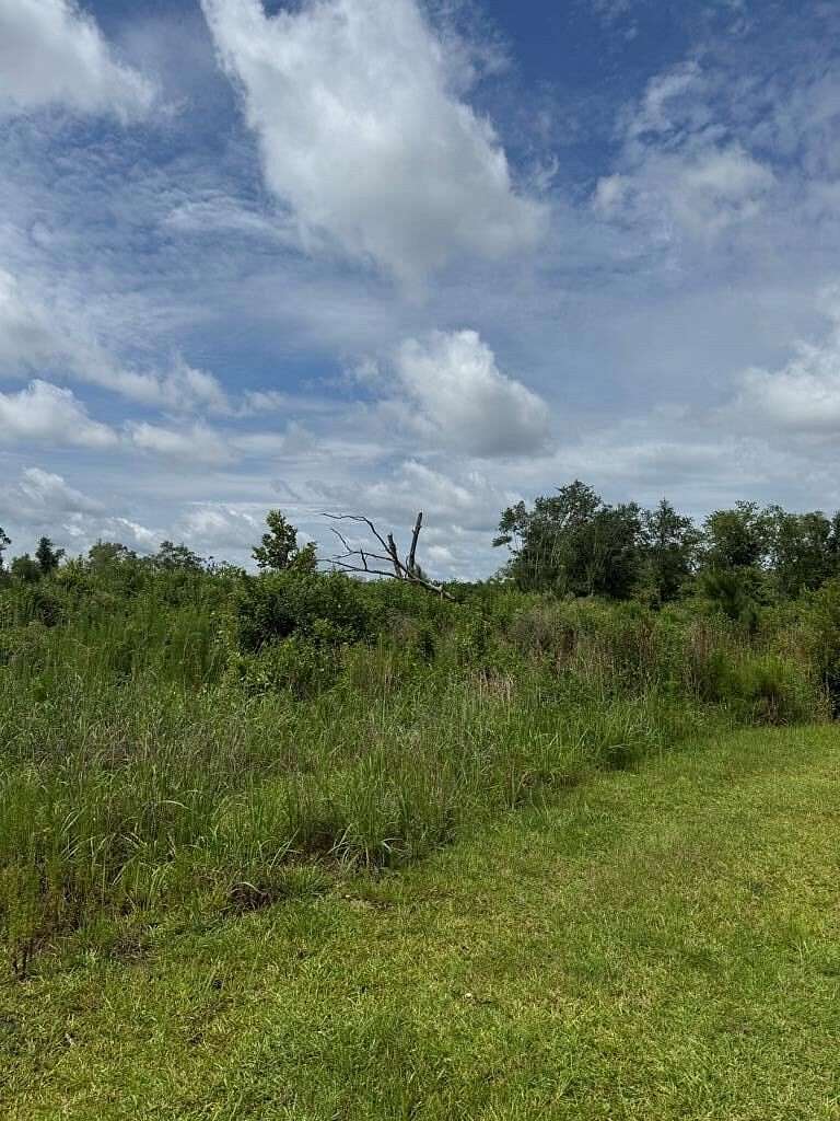 17.4 Acres of Land for Sale in Naylor, Georgia