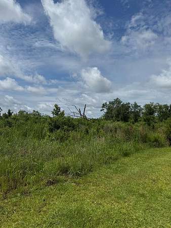 17.4 Acres of Land for Sale in Naylor, Georgia