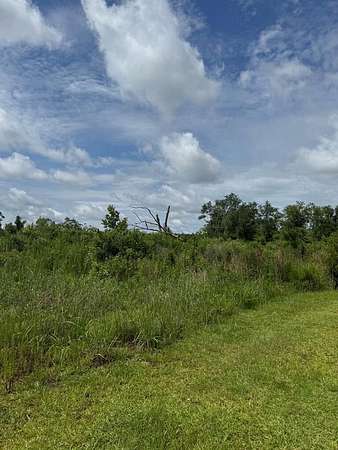 17.4 Acres of Land for Sale in Naylor, Georgia