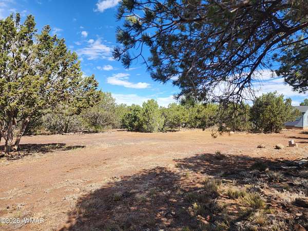 1.25 Acres of Residential Land for Sale in Vernon, Arizona