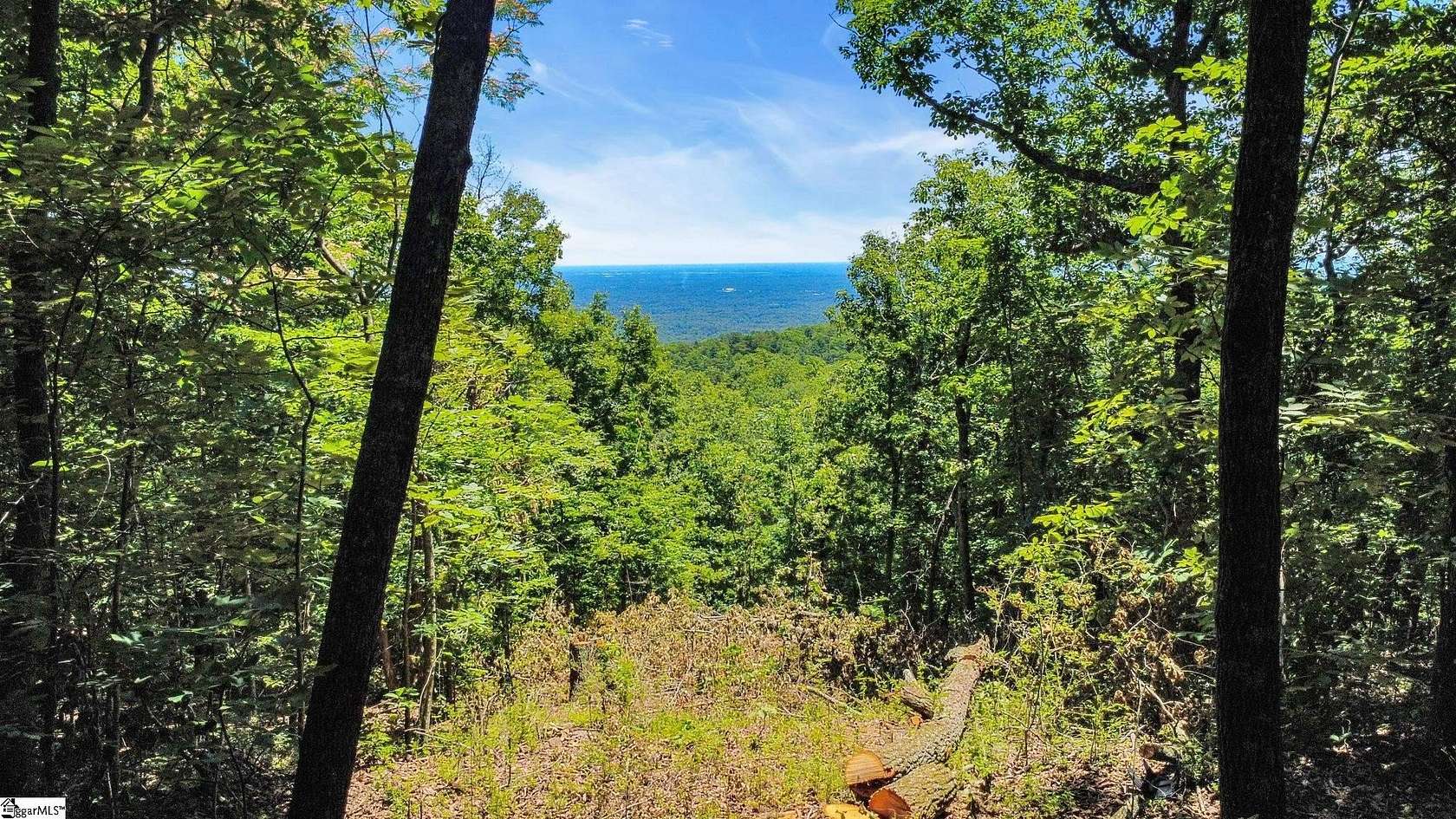 1.5 Acres of Residential Land for Sale in Greenville, South Carolina