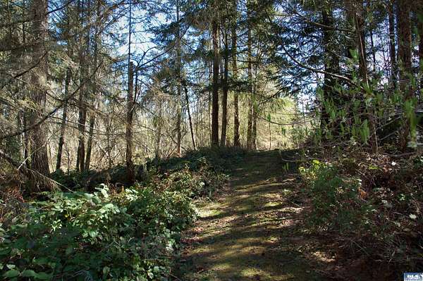 14.8 Acres of Land for Sale in Port Angeles, Washington