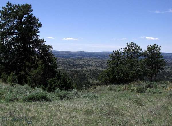 174 Acres of Recreational Land for Sale in Hysham, Montana