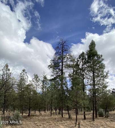 0.89 Acres of Residential Land for Sale in Happy Jack, Arizona