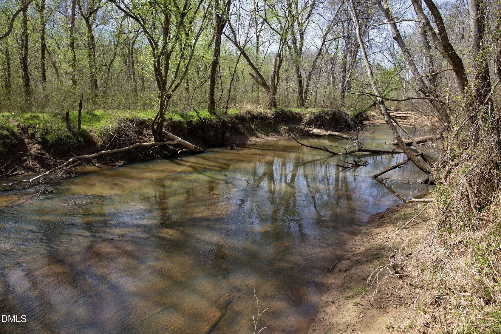 80 Acres of Recreational Land for Sale in Milton, North Carolina