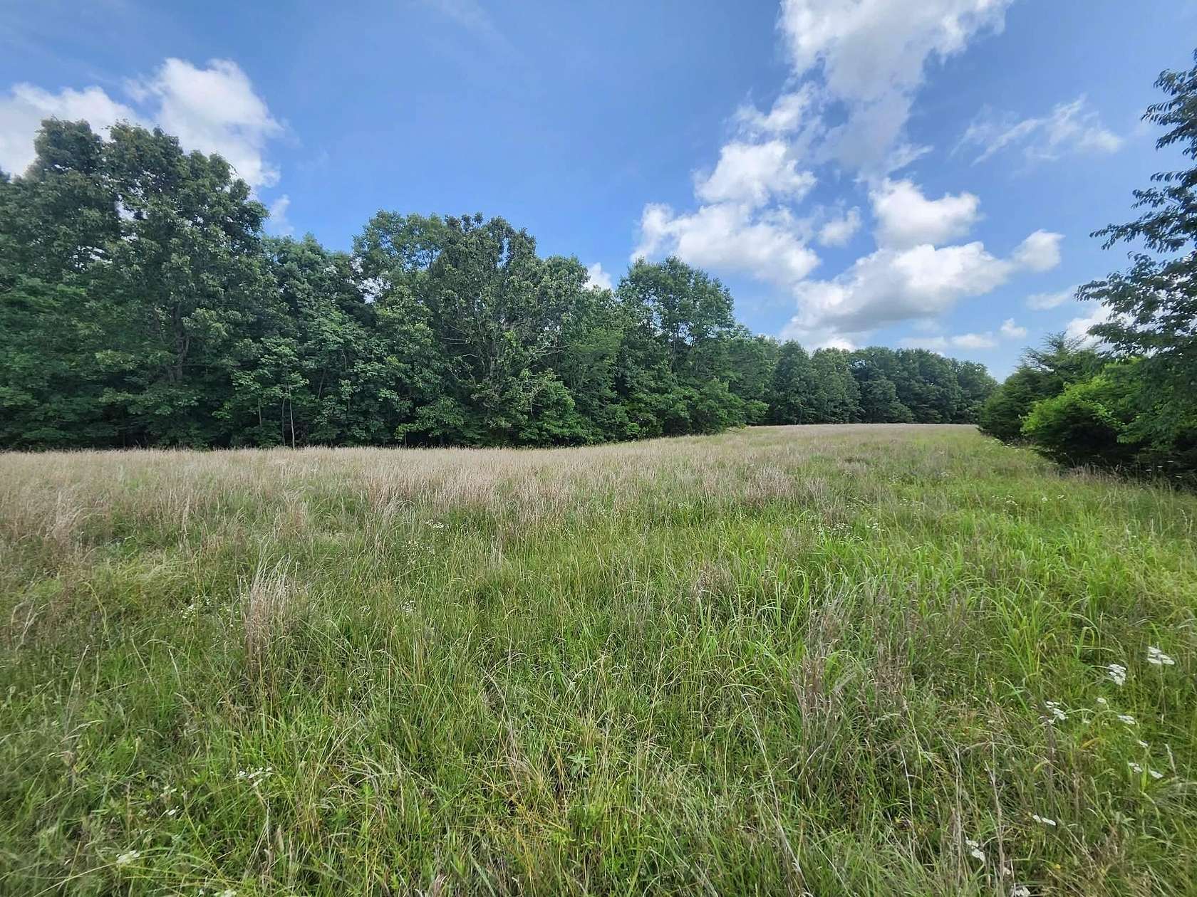 6 Acres of Residential Land for Sale in Summersville, Missouri