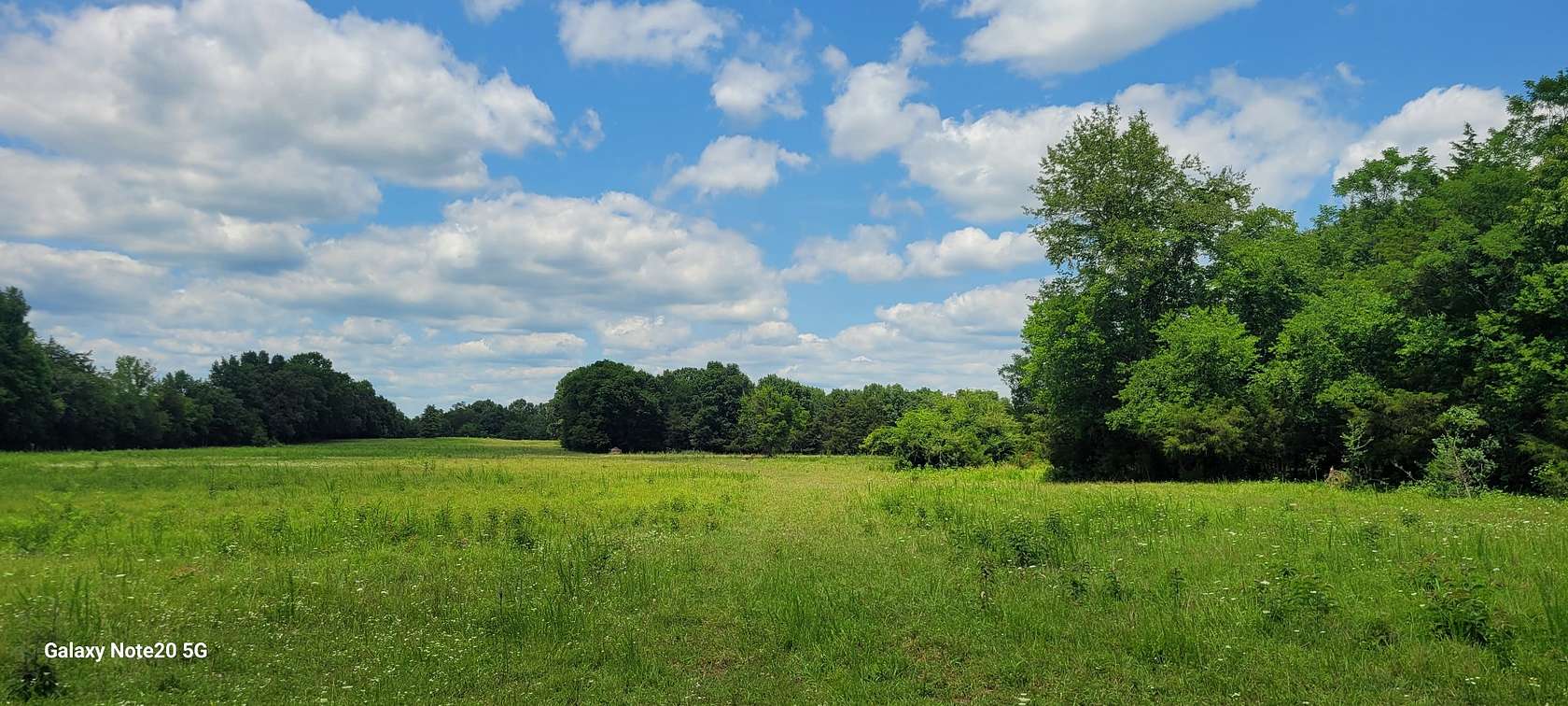 84 Acres of Land for Sale in Chapel Hill, Tennessee