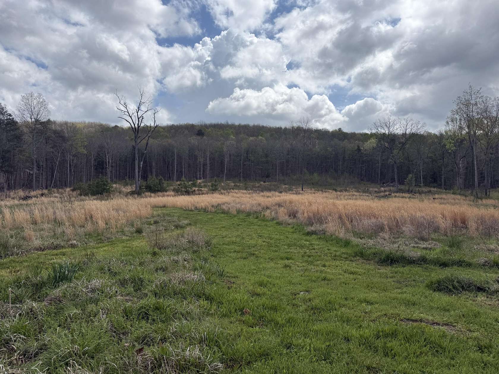 5 Acres of Land for Sale in Decatur, Tennessee