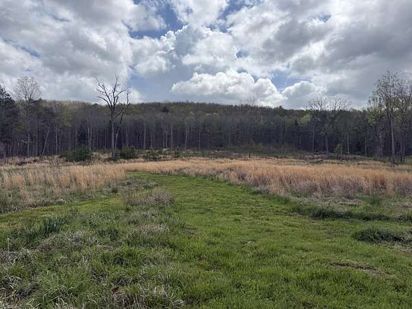 5 Acres of Land for Sale in Decatur, Tennessee