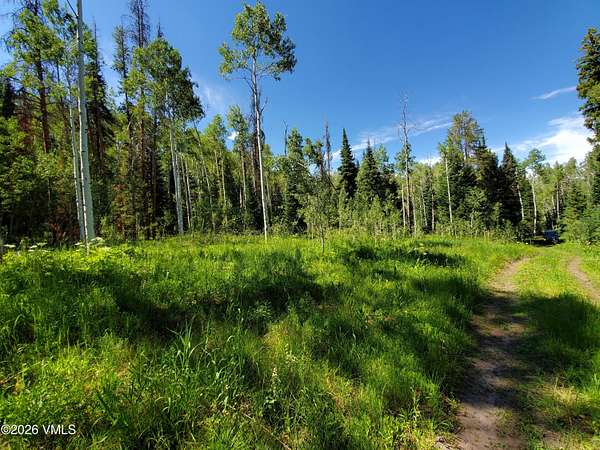 1 Acre of Residential Land for Sale in Oak Creek, Colorado