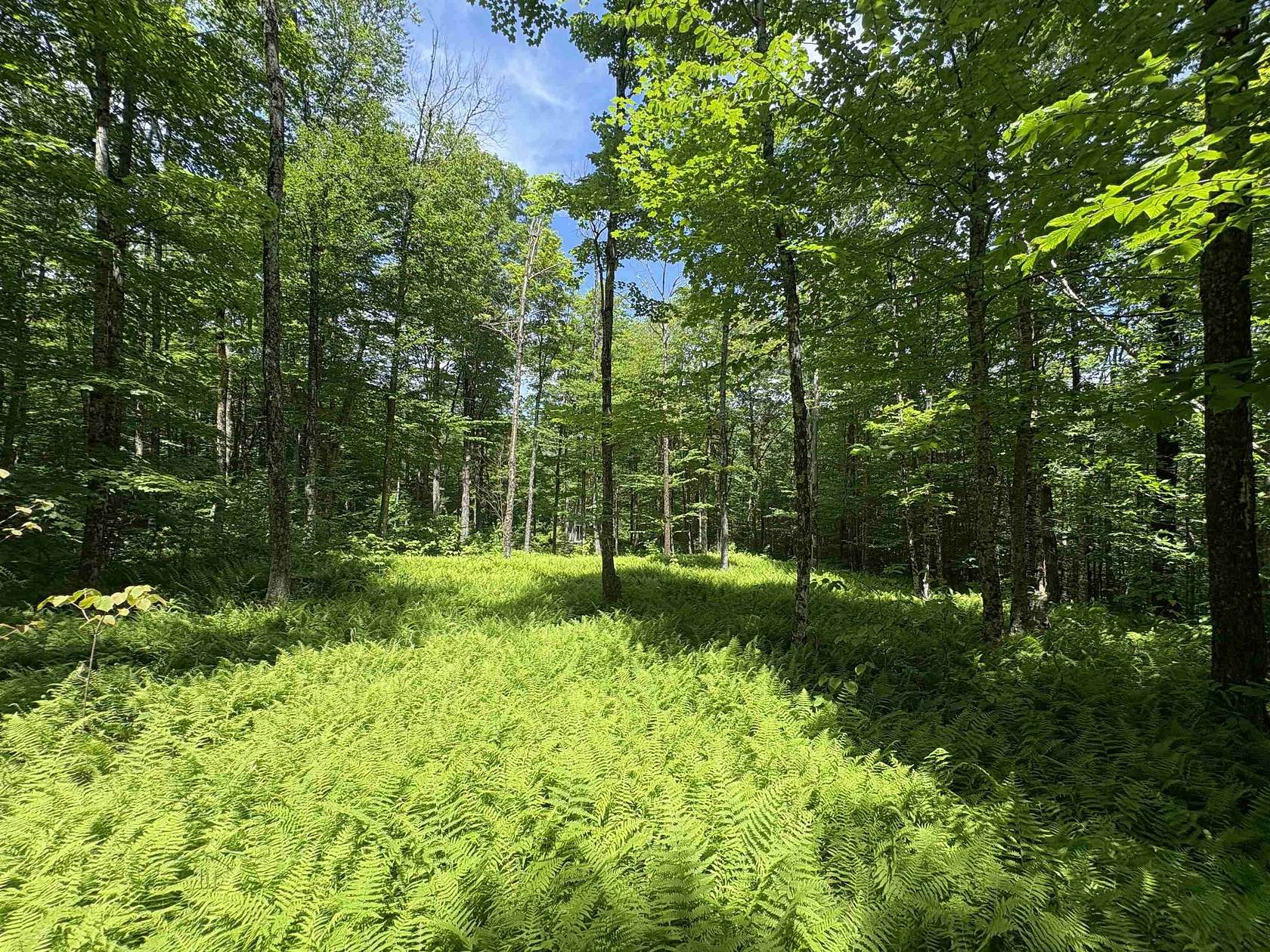1.7 Acres of Land for Sale in Jay, Vermont